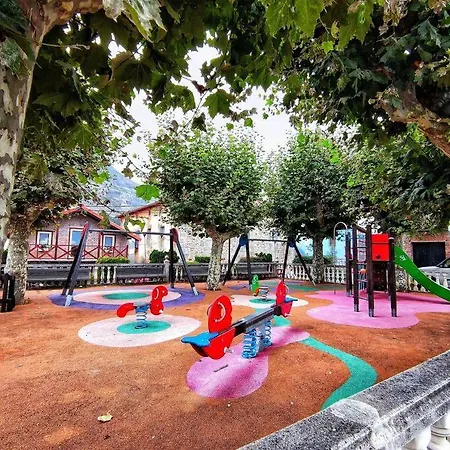 Hoja De Arce - Rural *