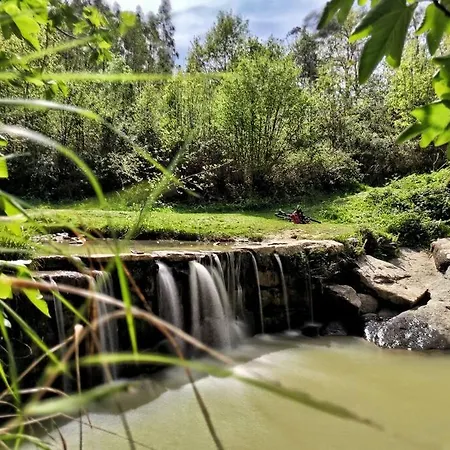 Hoja De Arce - Rural Castro Urdiales