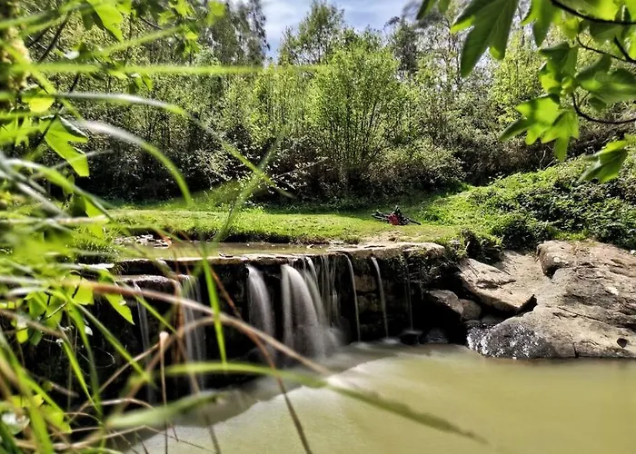 Hoja De Arce - Rural Castro Urdiales